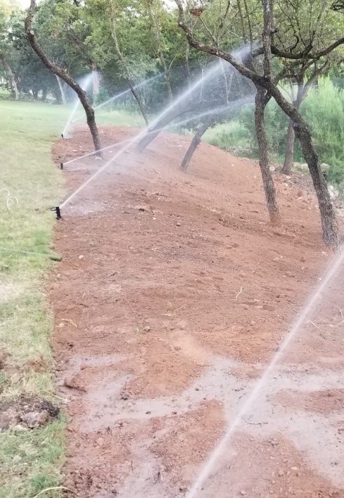 imgi_10_IMG-20201201-WA0023